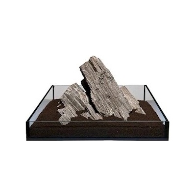 Macenauer Glimmer Wood Rock 1 kg