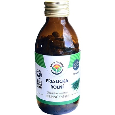 Salvia Paradise Přeslička rolní 120 kapsúl