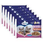 PreVital Cat Junior Консерва агне-индийка/сьомга-риба в сос 28 x 100 г