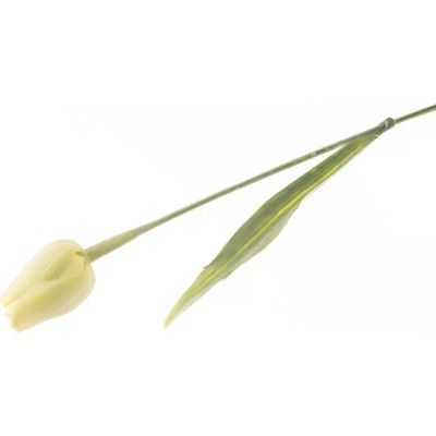 Květina UH tulipán zelený 40 cm