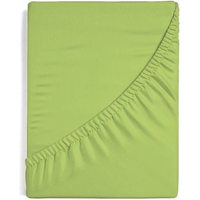 Matějovský Prestieradlo zelenkavé Froté 200x220