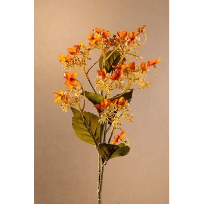 Paramit DRY WILD HYDRANGEA Aranžovací květina oranžová 62 cm