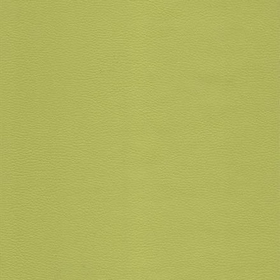 Koženka apple green matná KA 42 30235 Český výrobce