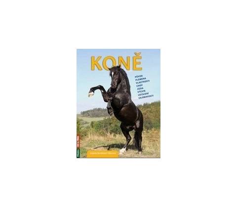 Koně