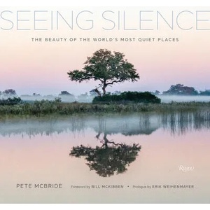 Seeing Silence (ISBN: 9780847870868)