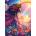 Alipson Puzzle - Puzzle Rainbow Girl - 500 piese
