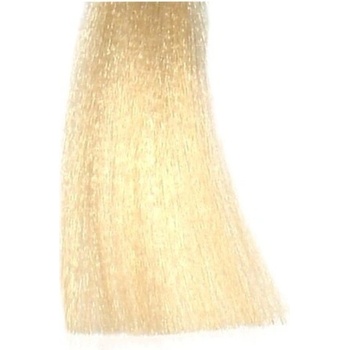 Bes Hi-Fi Hair Color 10-0 platinová blond