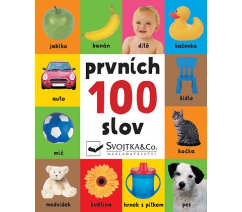 Prvních 100 slov