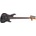 Ibanez MDM1605-DTW