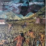 Flowers In Concrete & Dim Prospects - Split (LP) (9120083370713)