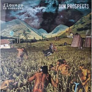 Flowers In Concrete & Dim Prospects - Split (LP) (9120083370713)