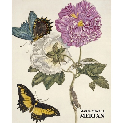 Maria Sibylla Merian – Daniel Kiecol