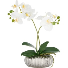 Gasper Gasper Umelá orchidea Phalaenopsis, 38 cm, biela