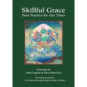 Skillful Grace | Adeu Rinpoche (ISBN: 9789627341611)