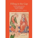 Filling in the Gap - David Eben