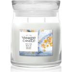 Yankee Candle Silver Birch ароматна свещ 368 гр