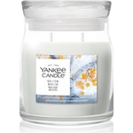 Yankee Candle Silver Birch ароматна свещ 368 гр