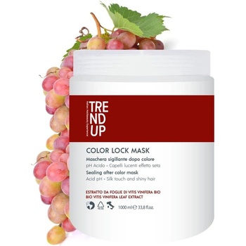 Trend Up Color Lock Maska pro barvené vlasy 1000 ml