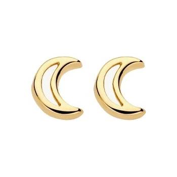 Blush Златни дамски обеци Blush 7320YGO (7320YGO)