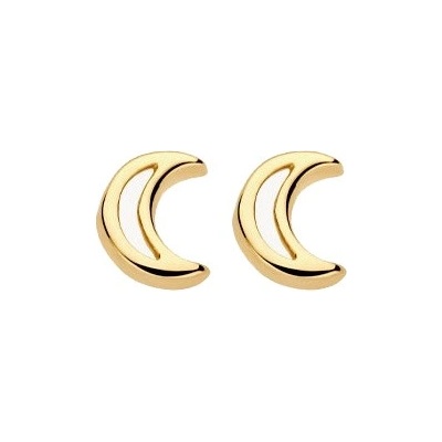 Blush Златни дамски обеци Blush 7320YGO (7320YGO)