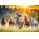 Trefl - Puzzle Wild Horses - 1 500 piese