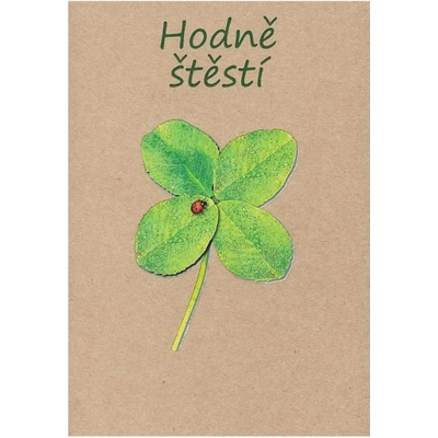 Přání k narozeninám CTS17, kraft
