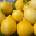 Семена от Тиквички сорт "Лимон" (Lemon) 10 бр (075147)