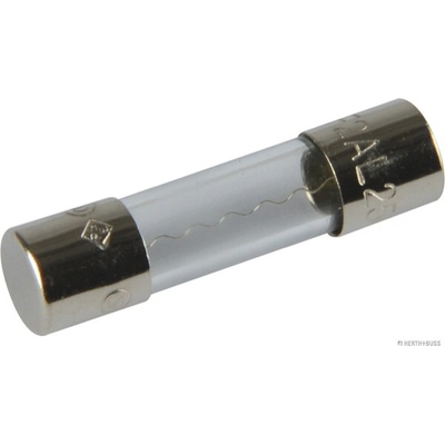 Poistka HERTH+BUSS ELPARTS 50295050