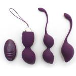 Rimba Rimini Kegel Ball Training Set Purple