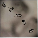 Gabriel Peter - Up LP