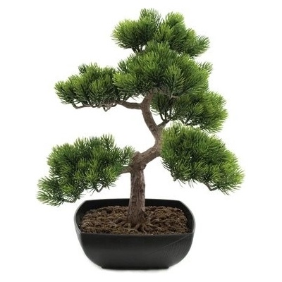 Bonsai borovice, 50 cm