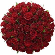 Kytice 55 červených růží RED CALYPSO 60 cm