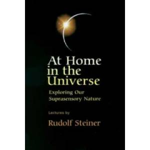 At Home in the Universe (2003)
