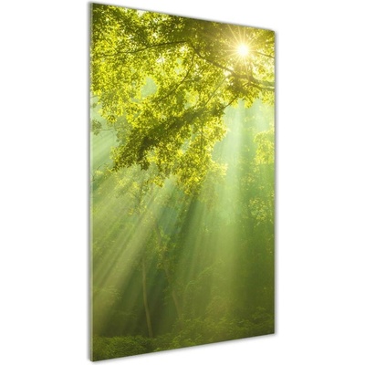 Vertikálny foto obraz sklo tvrdené Slnko v lese 50x100 cm
