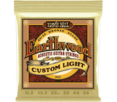 Ernie Ball 2007