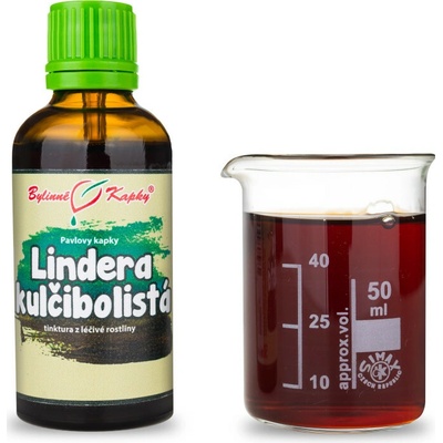 Lindera kulčibolistá tcm pavlovy bylinné kvapky tinktúra 50 ml