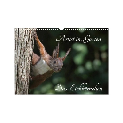 Artist im Garten. Das Eichhörnchen Wand DIN A3 quer, CALVENDO Monats 2026