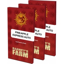 Barneys Farm Pineapple Express Auto semena neobsahují THC 5 ks
