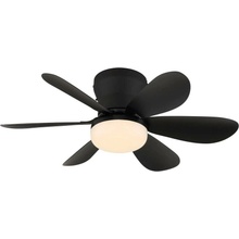 Globo 03625S