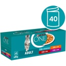 Purina One Adult mini filetky v šťave 40 x 85 g