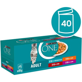 Purina One Adult mini filetky v šťave 40 x 85 g