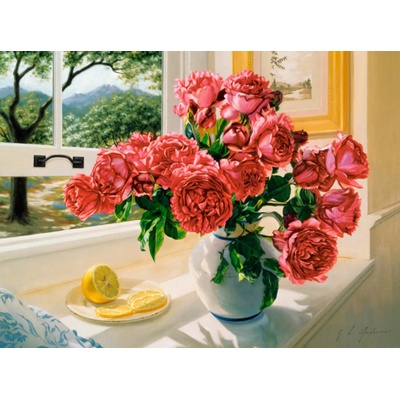 Castorland - Puzzle Summer Reminiscence - 3 000 piese