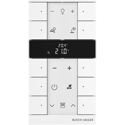 Busch-Jaeger 2CKA006220A0889