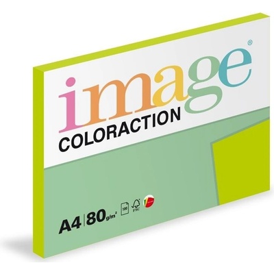 Coloraction PX408CHZK5