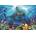 Educa - Puzzle Great White Shark - 500 piese
