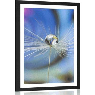 Plakát s paspartou kapka rosy na barevném pozadí - 30x45 white