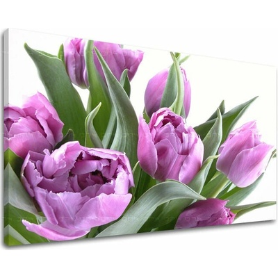 Obraz na stenu KVETY TULIPÁNY - 20x30
