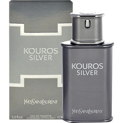 Yves Saint Laurent Kouros Silver toaletná voda pánska 50 ml