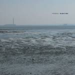 Fennesz - Black Sea (Limited Edition) (2 x 10") (5050580784130)
