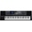 Roland E-A7